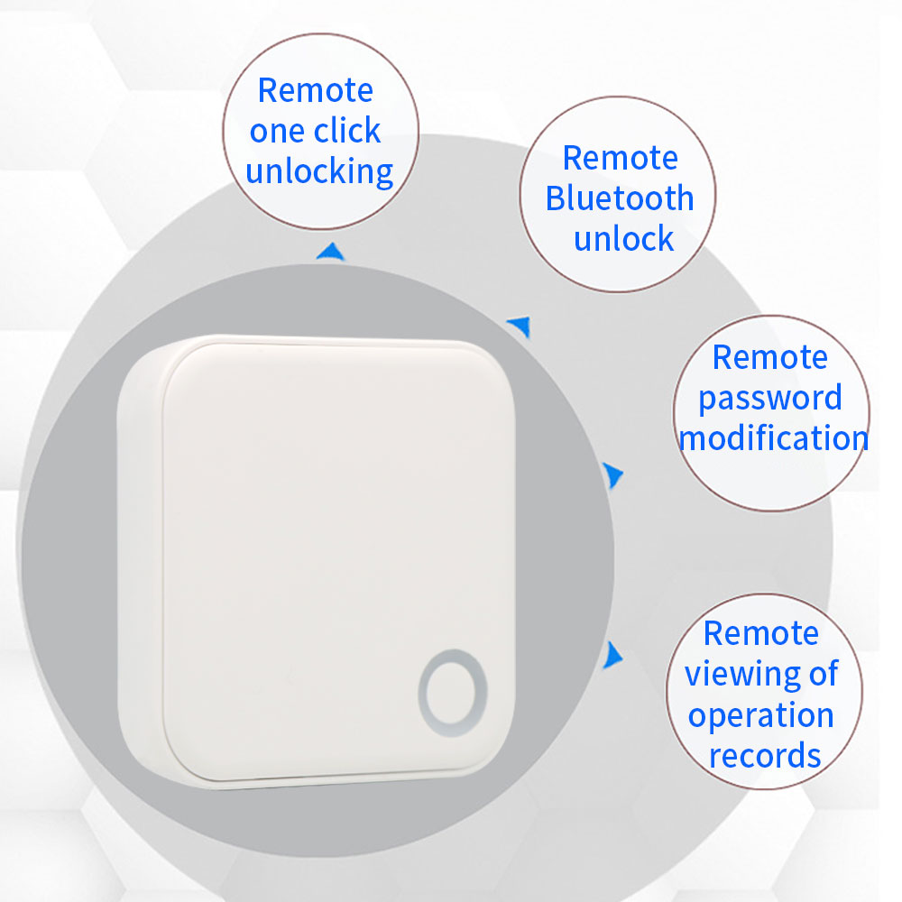 2.4G + 5G TTLOCK WIFI Gateway  - Smart Home Door Lock recensie en prijs